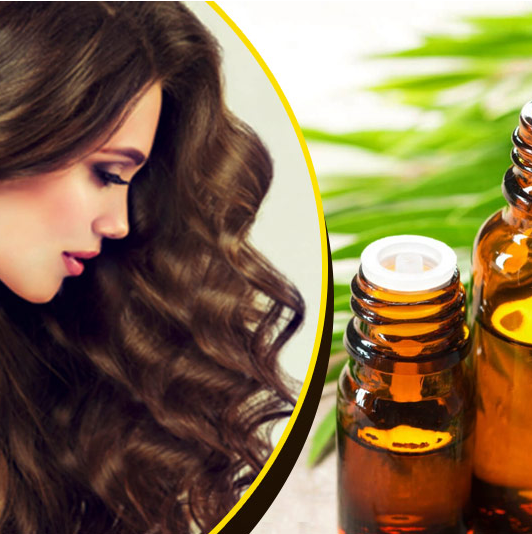 চুলের যত্ন - Hair Care